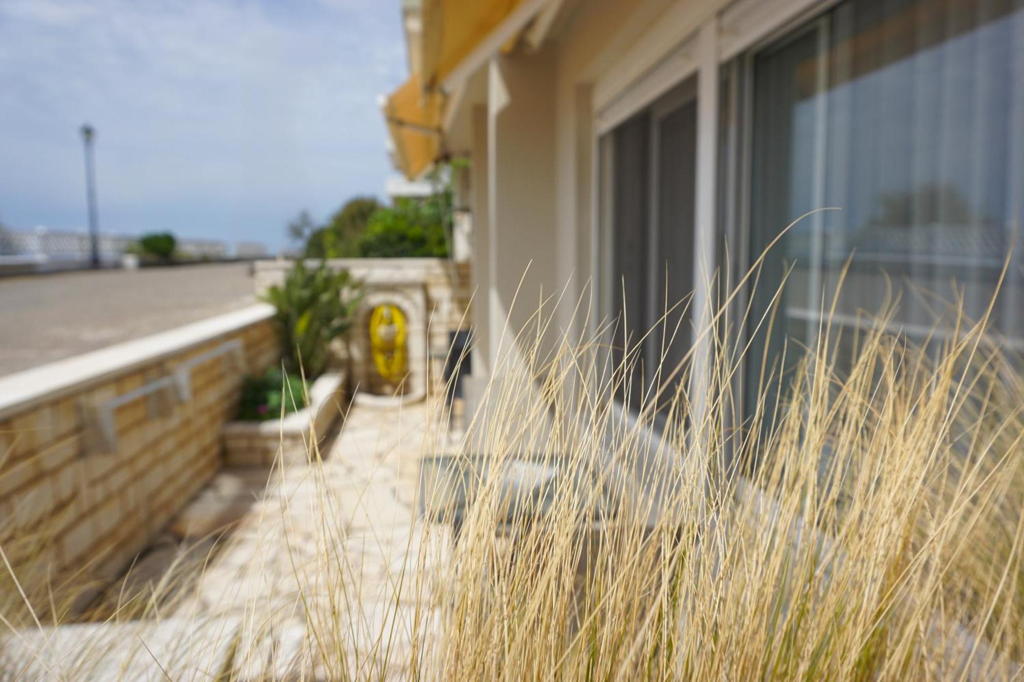 Ionian Blue Studio Превеза Экстерьер фото